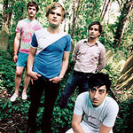 Grizzly Bear