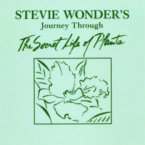 Stevie Wonder Journey Through The Secret Life of Plants