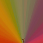 Edward Sharpe and the Magnetic Zeros This Life