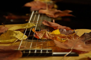 guitar-autumn-2-mick-anderson