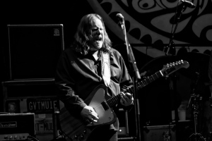 Warren Haynes, Gov't Mule, Sco-Mule, Dark Side of the Mule, Stoned Side of the Mule, Dub Side of the Mule