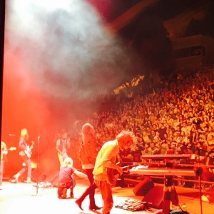 cage the elephant, red rocks