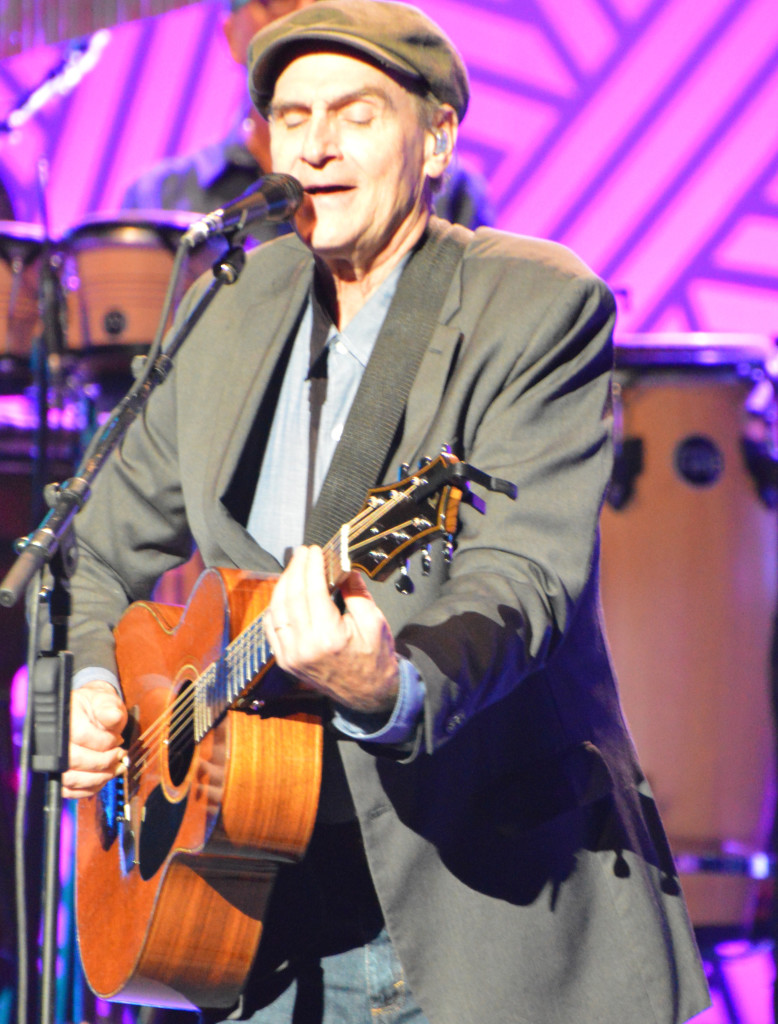 James Taylor by Donna Marie Miller